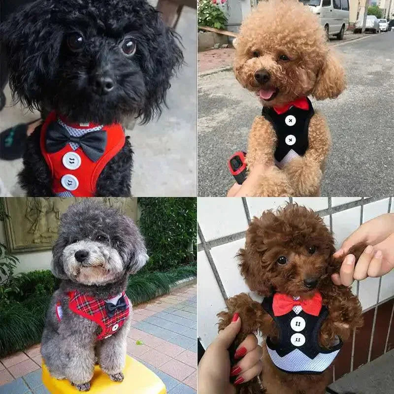 Tuxedo Pet Harness