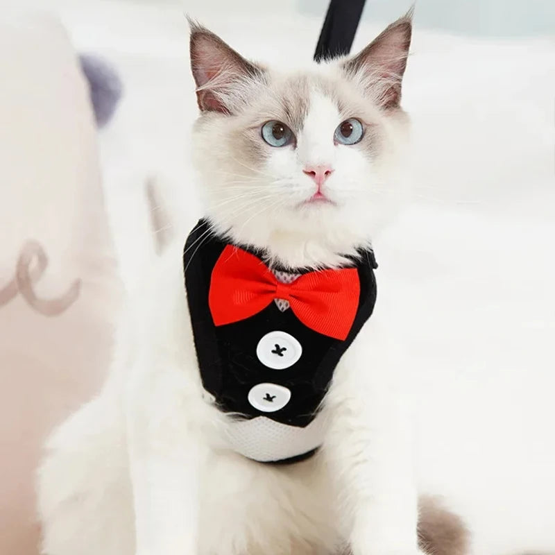 Tuxedo Pet Harness