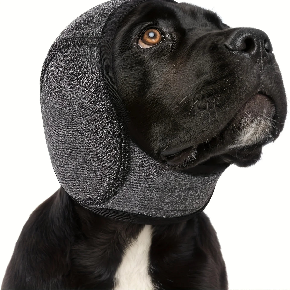 Adjustable Dog Earmuffs