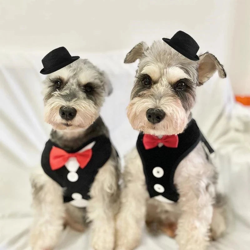Tuxedo Pet Harness