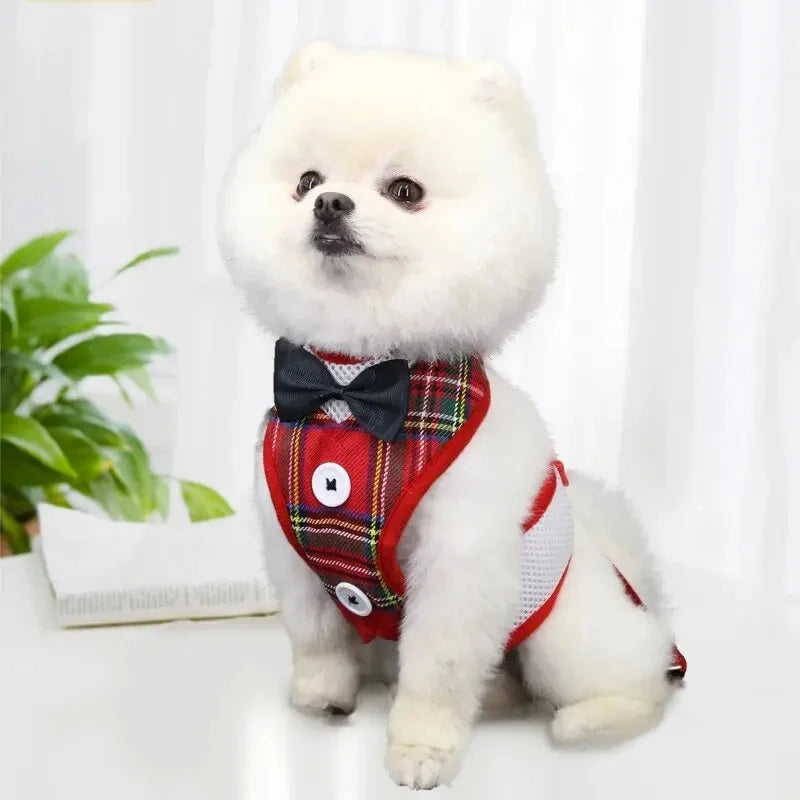 Tuxedo Pet Harness